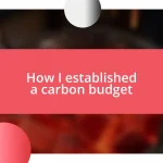 How I established a carbon budget