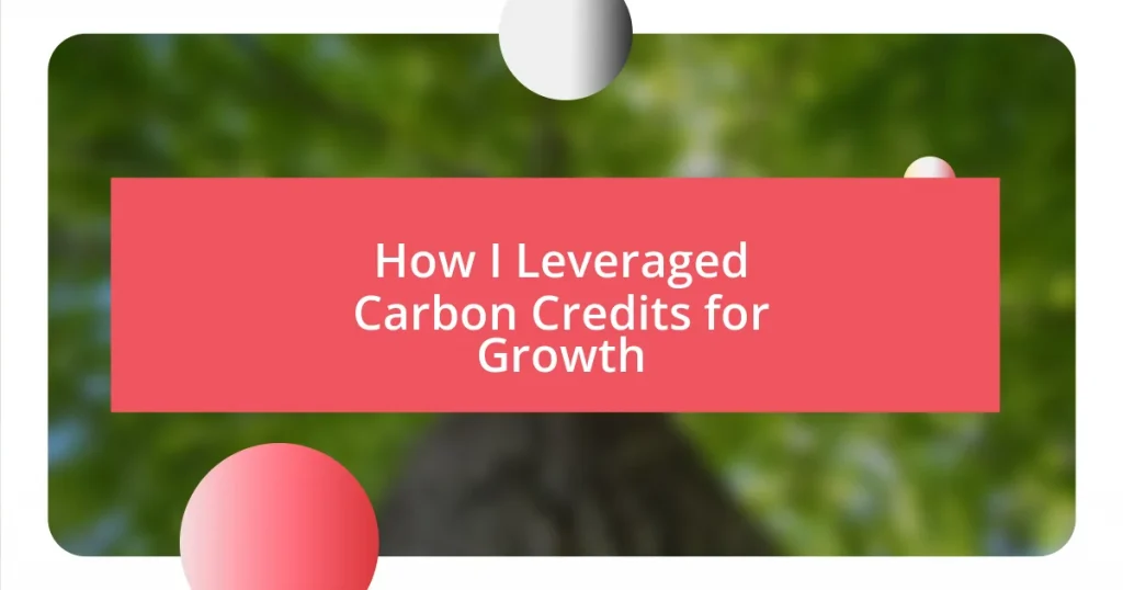 How I Leveraged Carbon Credits for Growth