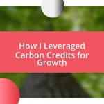 How I Leveraged Carbon Credits for Growth