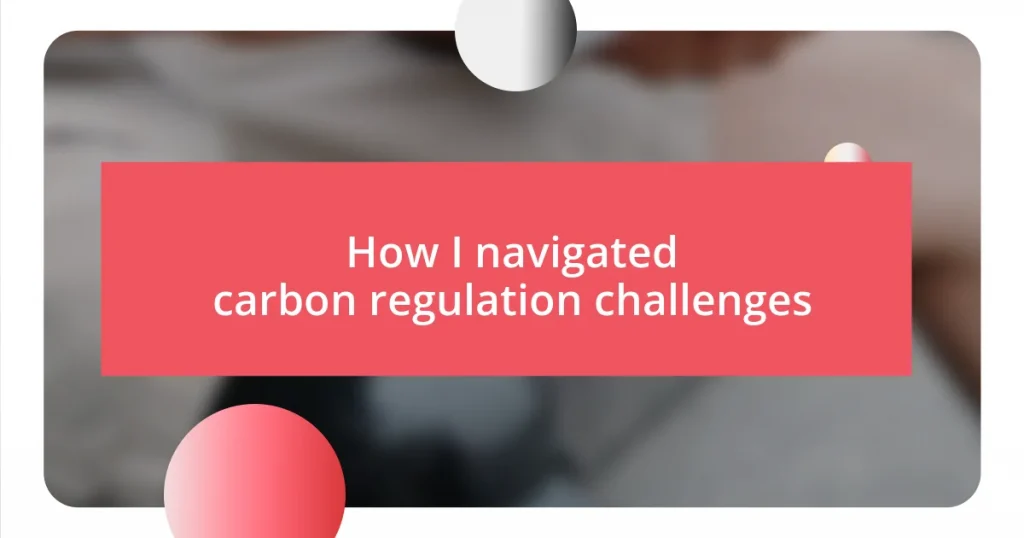 How I navigated carbon regulation challenges