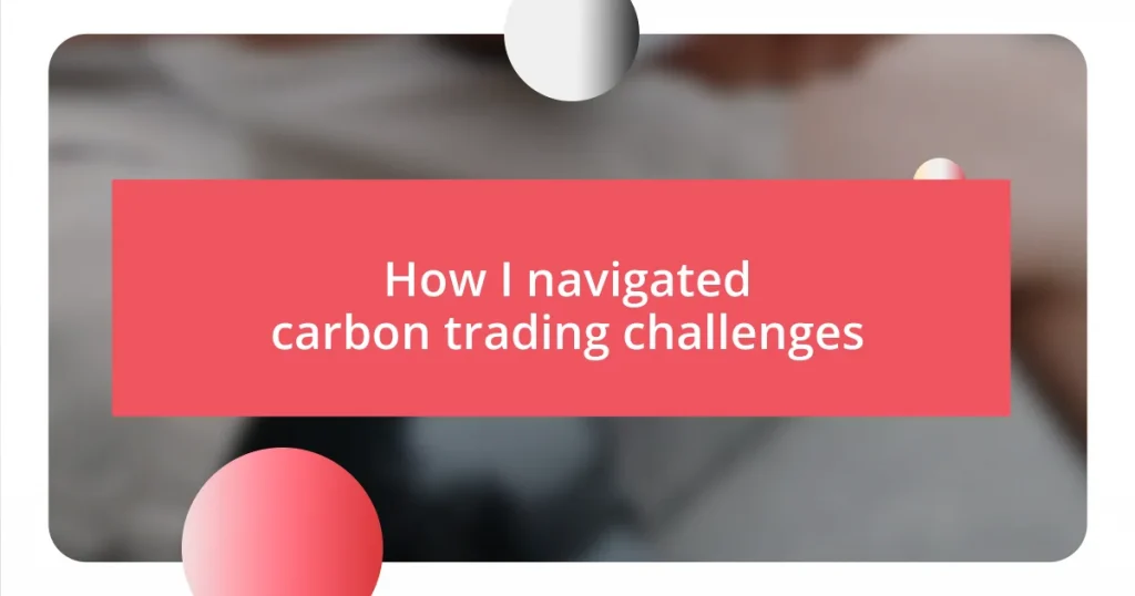 How I navigated carbon trading challenges