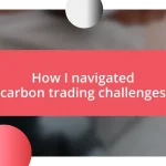 How I navigated carbon trading challenges