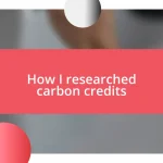 How I researched carbon credits