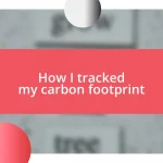 How I tracked my carbon footprint