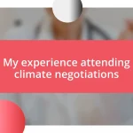 My experience attending climate negotiations