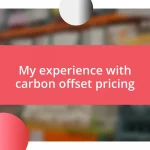 My experience with carbon offset pricing