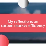 My reflections on carbon market efficiency