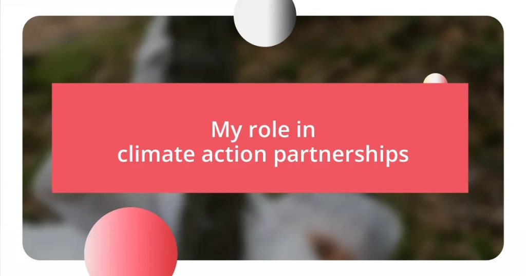 My role in climate action partnerships