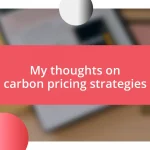 My thoughts on carbon pricing strategies