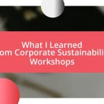 What I Learned from Corporate Sustainability Workshops